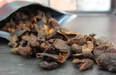 The Complete Guide to Cascara in 2024