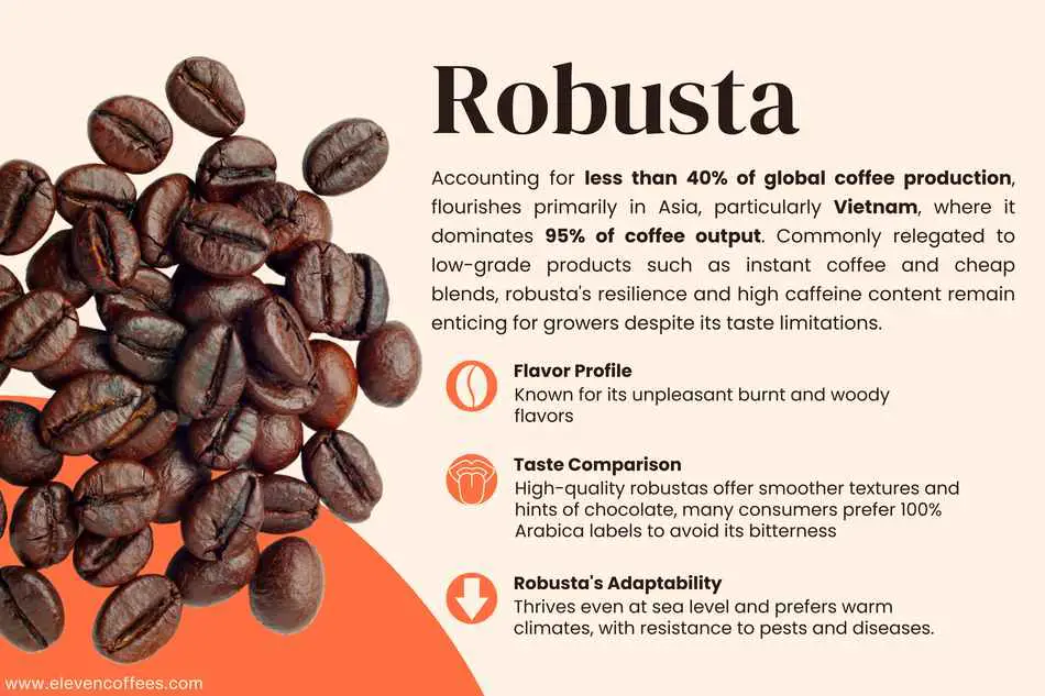 Robusta coffee produced worldwide