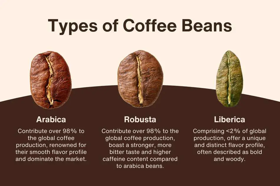 The three types of coffee beans