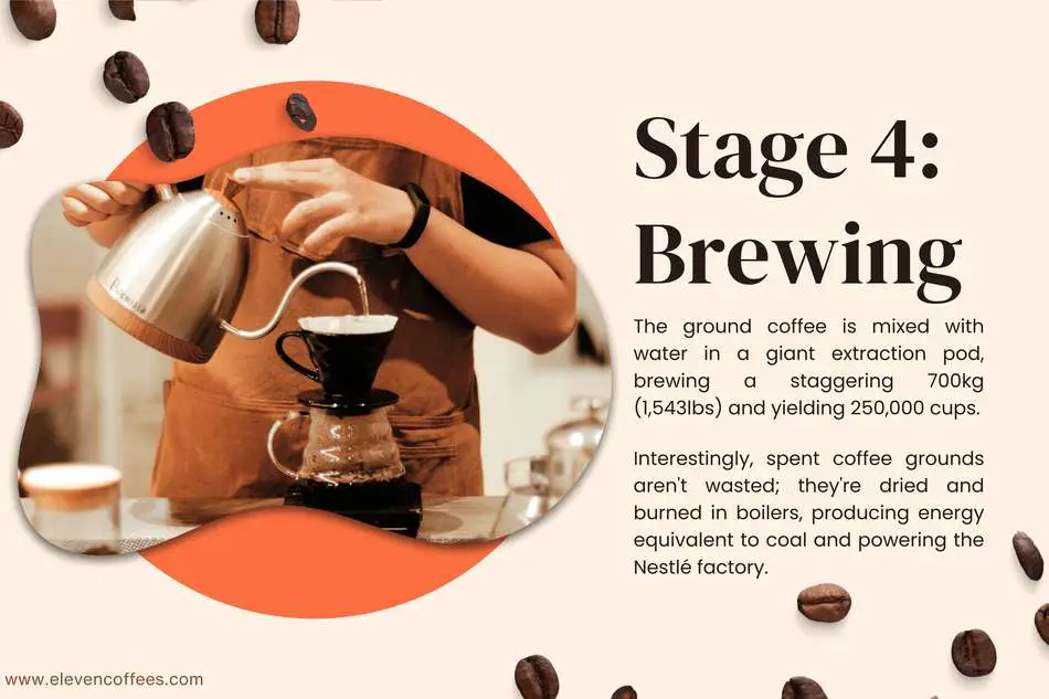 Stage four: Brewing