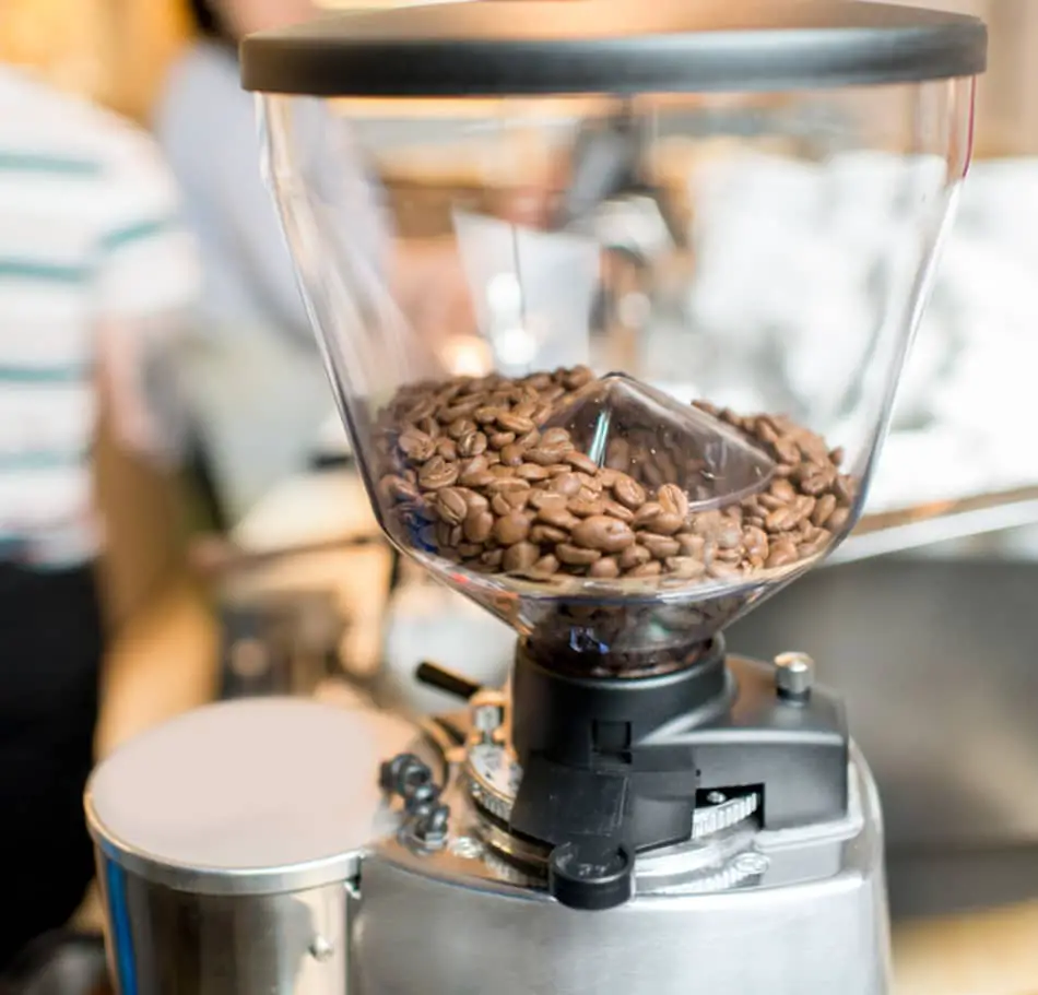 coffee grinder hopper partially filled with whole coffee beans