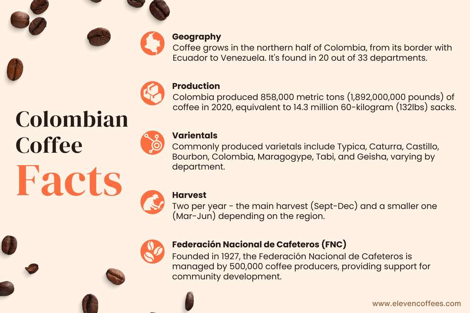 Colombia coffees facts highlighting its geographical regions, production methods, diverse varietals, harvesting techniques, and flavor profiles.