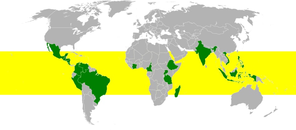 world atlas showing the coffee belt zone highlighted in yellow
