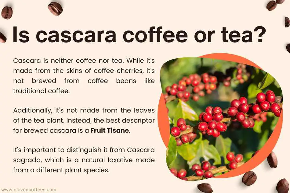 Explanation of cascara: not coffee or tea, but a fruit tisane made from the skins of coffee cherries. It differs from Cascara sagrada, a natural laxative from the buckthorn species Rhamnus purshiana.