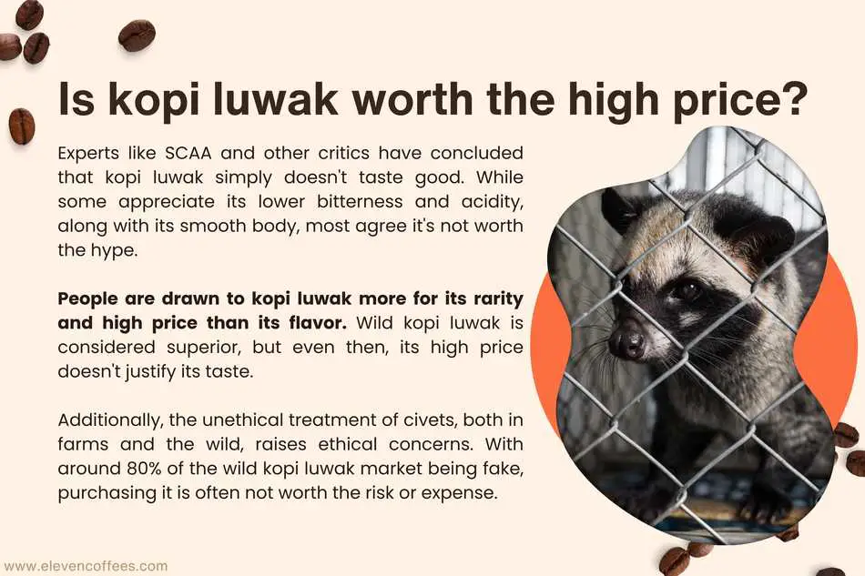 Is kopi luwak worth the high price