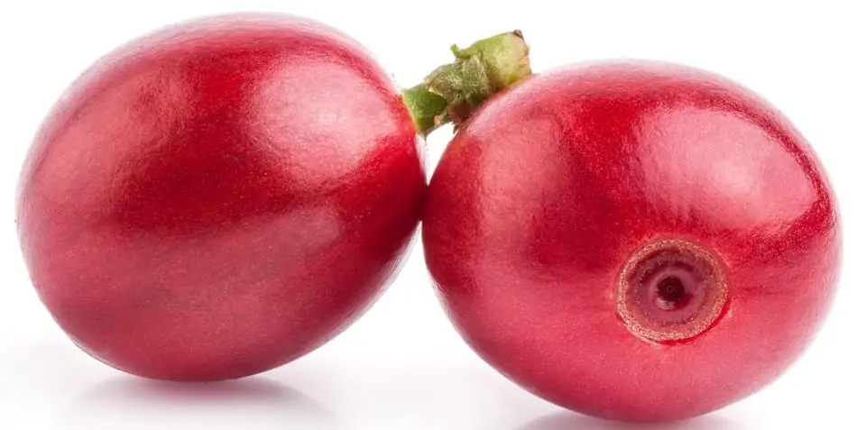 two red coffee cherries