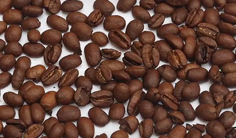 different-types-of-coffee-beans-arabica-robusta-liberica-eleven