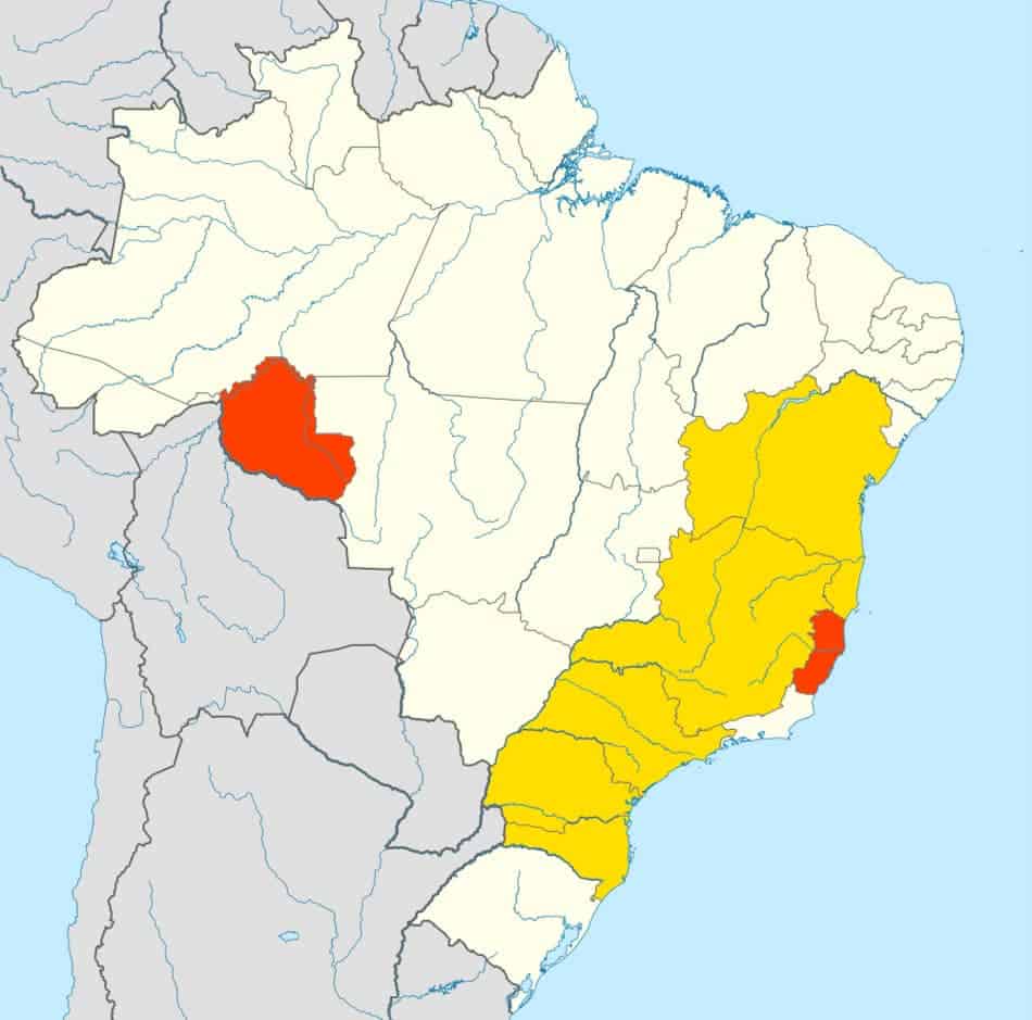 map of brazil with yellow regions highlighted where arabica coffee is produced, and red highlight where robusta is produced