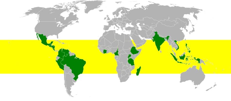 atlas with the coffee bean belt highlighted in yellow and major coffee producing countries highlighted in green