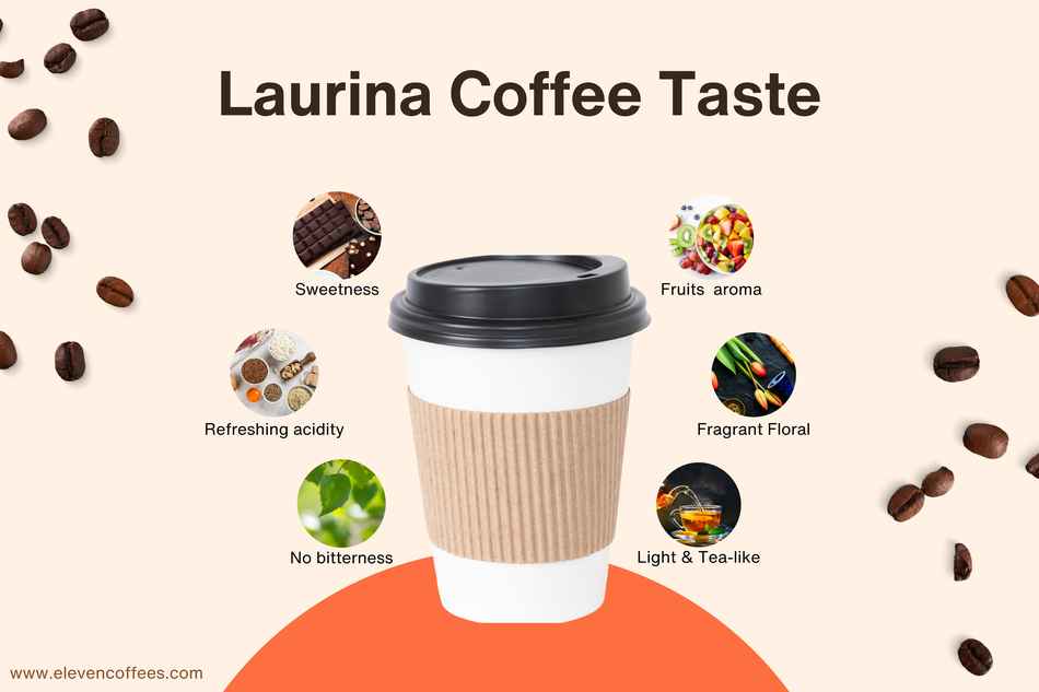 Laurina coffee taste
