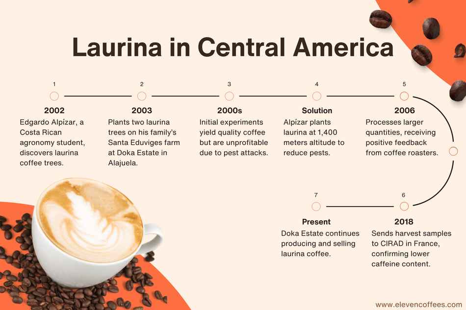 Laurina in Central America