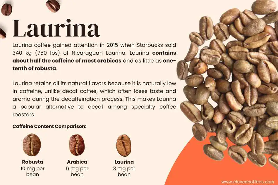 Laurina: the naturally low caffeine coffee beans
