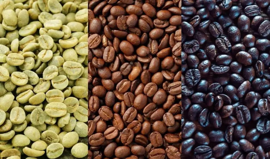 different types of coffee roasts explained