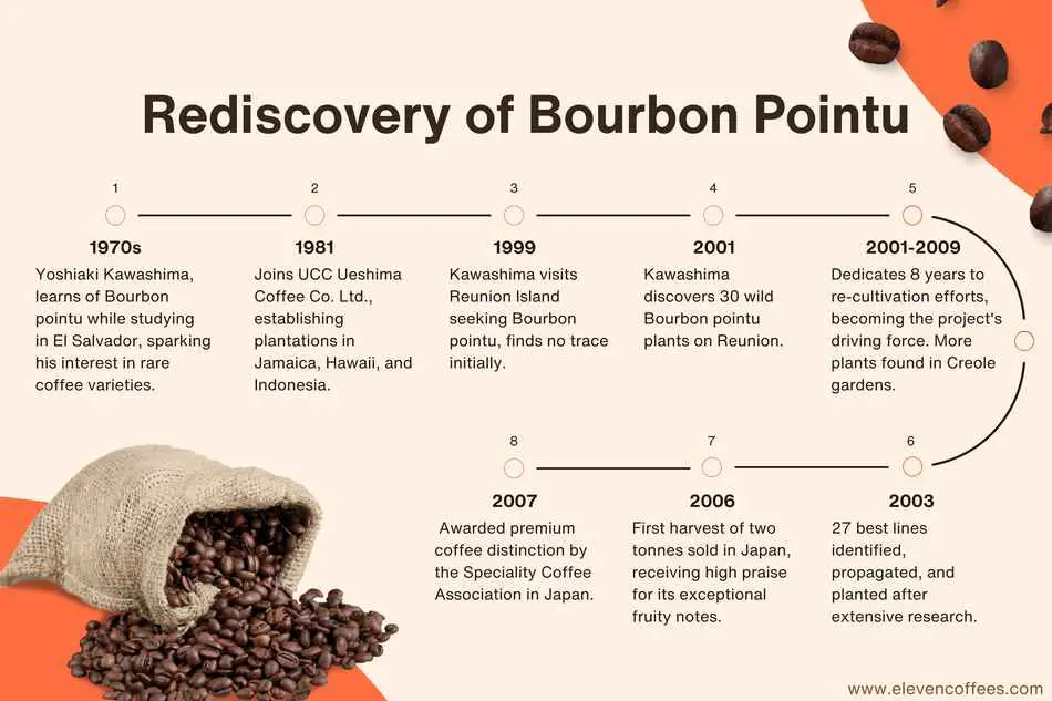 Rediscovery Bourbon pointu