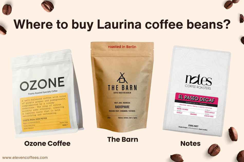 Where to buy laurina coffee beans
