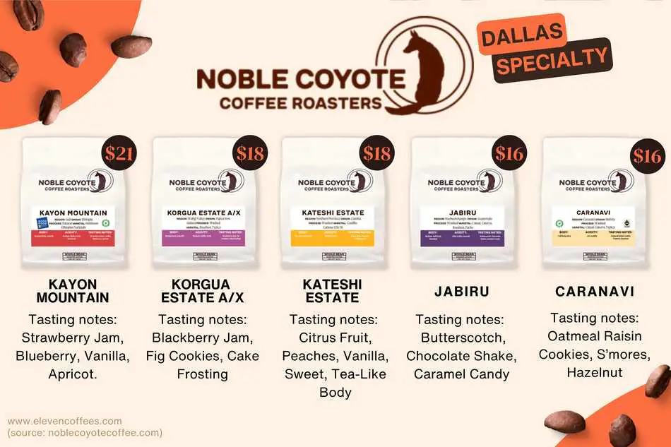 Noble Coyote