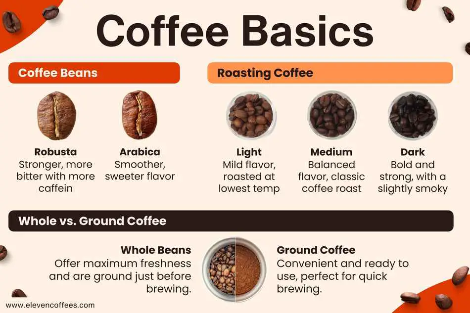 Basic coffee information: two main types of beans (robusta and arabica), three roasting levels (light, medium, dark), and two forms (whole beans and ground coffee).