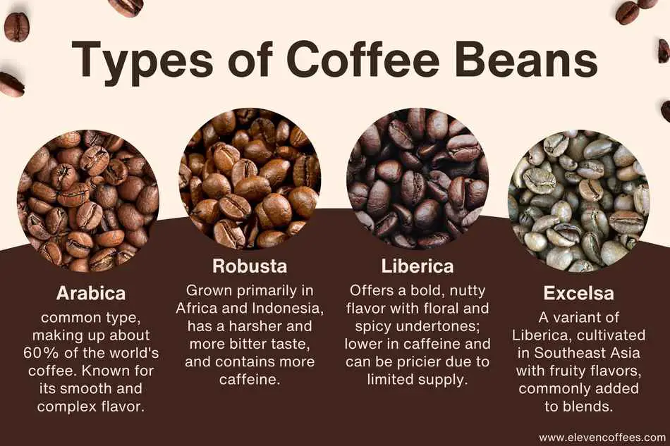 Four types of coffee beans arabica, robusta, liberica, and excelsa