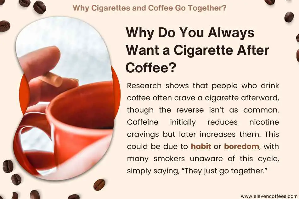 Explanation why people often crave a cigarette after coffee, highlighting caffeine's effect of increasing nicotine desire shortly after consumption.