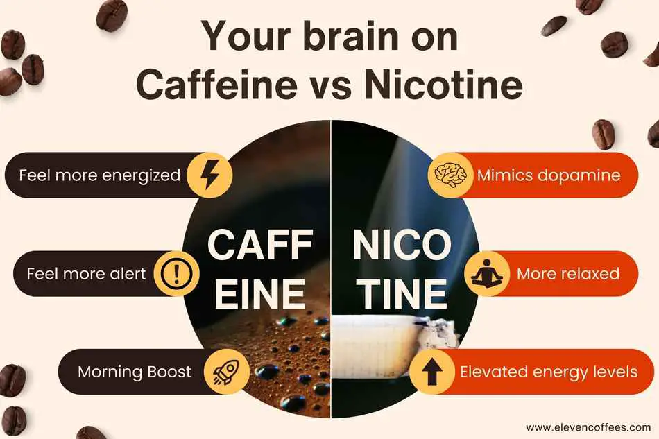 Comparison of how caffeine and nicotine affect the brain: caffeine provides energy, alertness, and a morning boost, while nicotine mimics dopamine, offering relaxation and elevated energy levels.